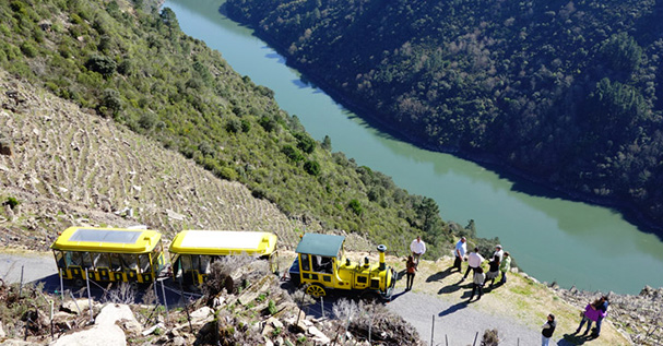 Tren turístico