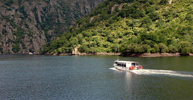 Paseo en catamarán